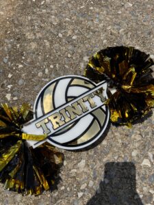 Sport Cheer Stick